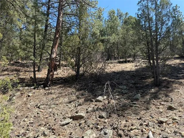 176 Arnold Drive Cotopaxi, CO 81223