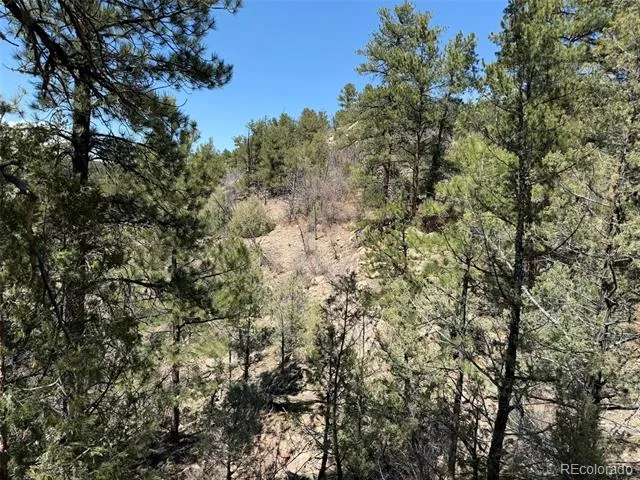 176 Arnold Drive Cotopaxi, CO 81223