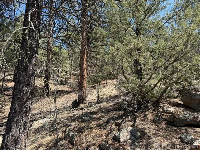 176 Arnold Drive Cotopaxi, CO 81223