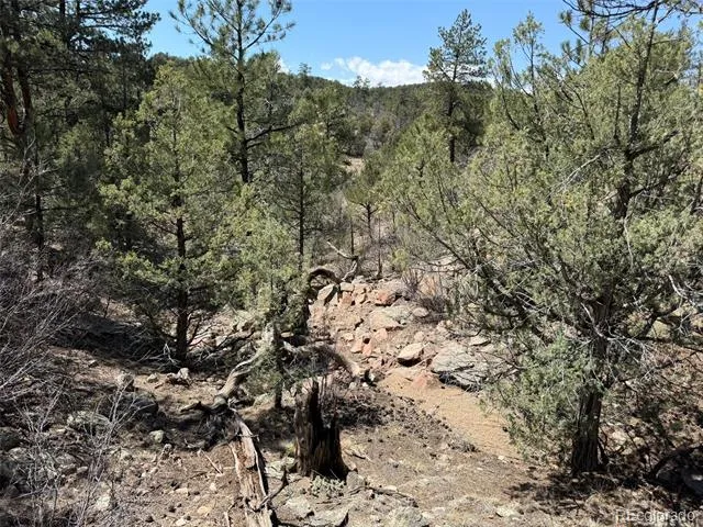 176 Arnold Drive Cotopaxi, CO 81223