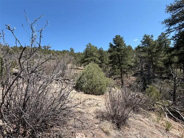 176 Arnold Drive Cotopaxi, CO 81223