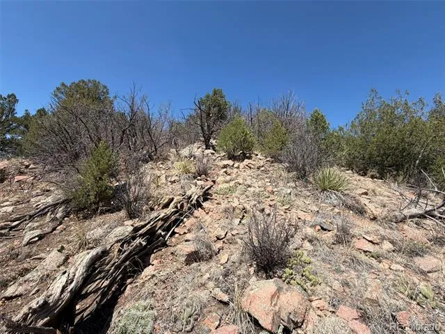 176 Arnold Drive Cotopaxi, CO 81223