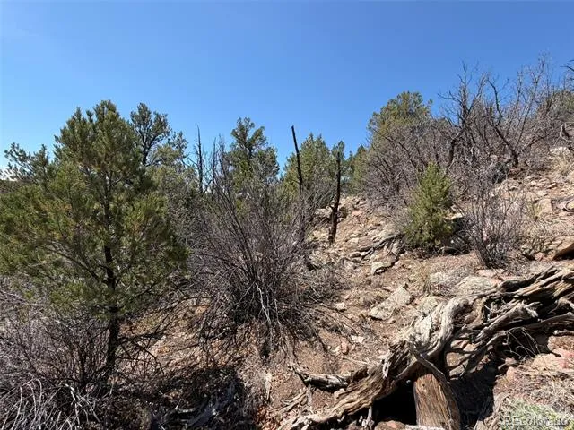 176 Arnold Drive Cotopaxi, CO 81223