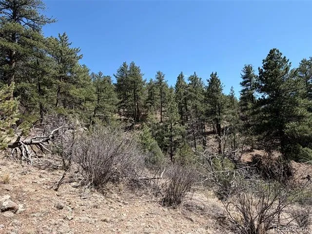 176 Arnold Drive Cotopaxi, CO 81223