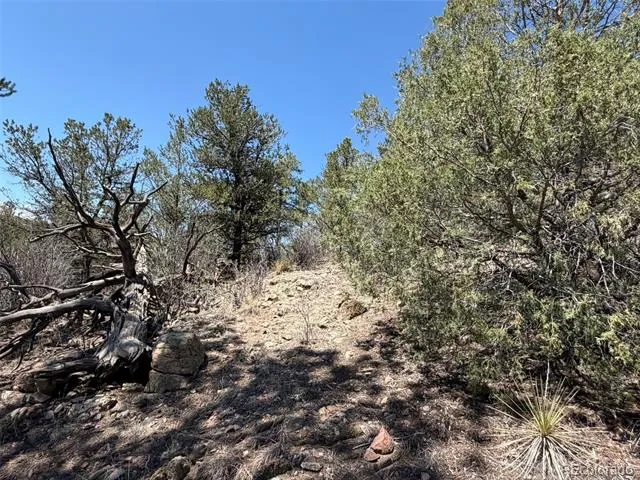 176 Arnold Drive Cotopaxi, CO 81223