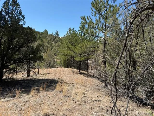 176 Arnold Drive Cotopaxi, CO 81223