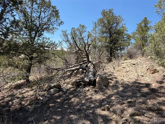 176 Arnold Drive Cotopaxi, CO 81223