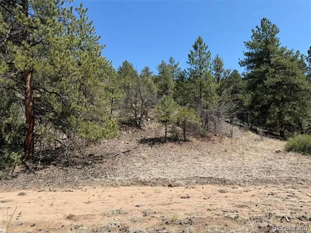 176 Arnold Drive Cotopaxi, CO 81223