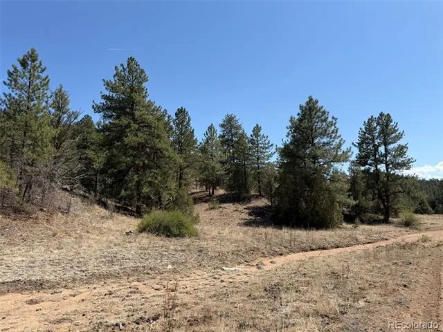 176 Arnold Drive Cotopaxi, CO 81223