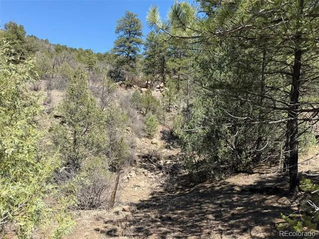 176 Arnold Drive Cotopaxi, CO 81223