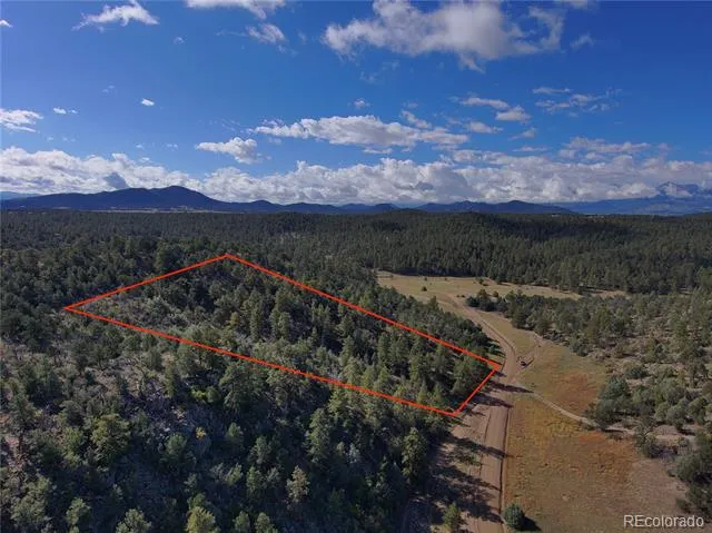 176 Arnold Drive Cotopaxi, CO 81223