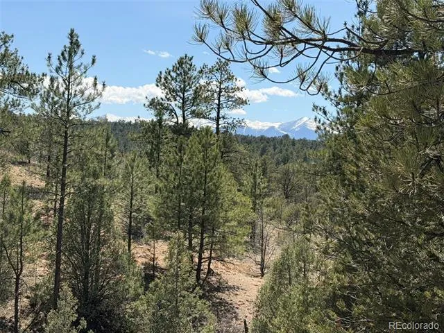 176 Arnold Drive Cotopaxi, CO 81223