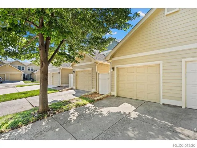814 Apex Drive #B Fort Collins, CO 80525
