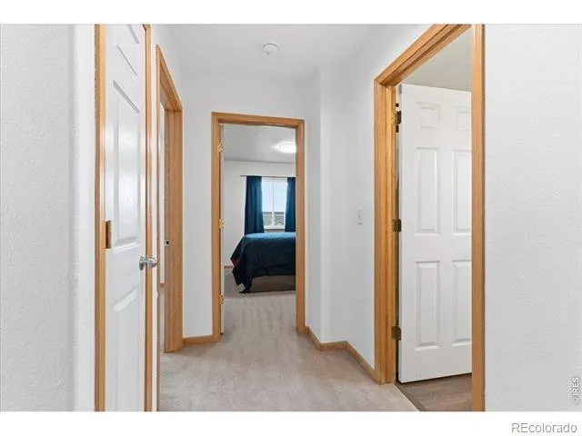 615 Foxtail Way Severance, CO 80550