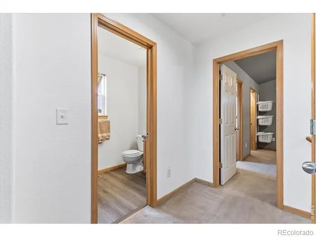 615 Foxtail Way Severance, CO 80550