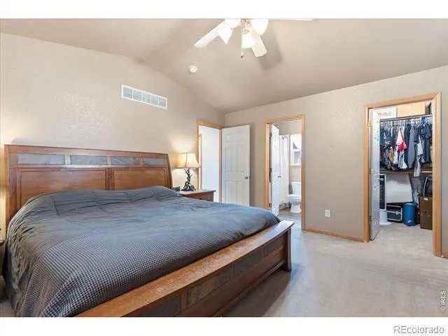 615 Foxtail Way Severance, CO 80550