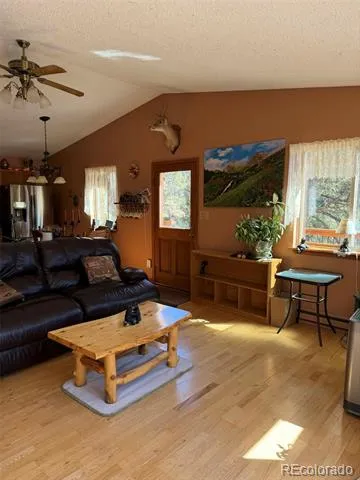 33623 Smith Road Pine, CO 80470
