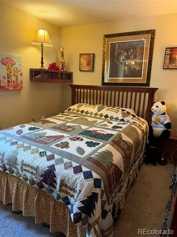 33623 Smith Road Pine, CO 80470