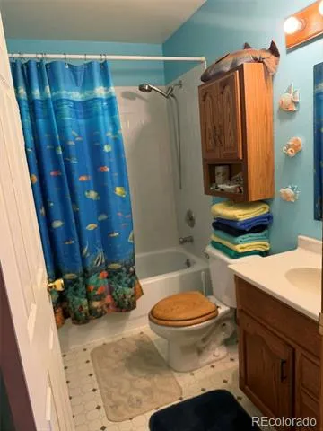 33623 Smith Road Pine, CO 80470