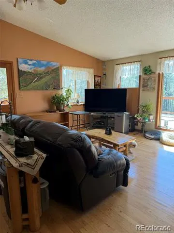 33623 Smith Road Pine, CO 80470