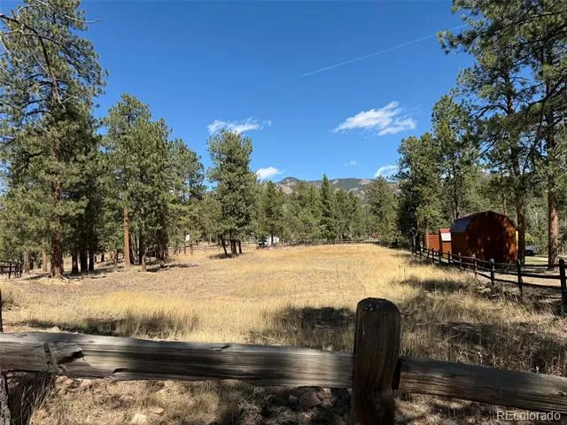 33623 Smith Road Pine, CO 80470