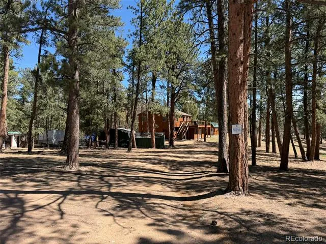 33623 Smith Road Pine, CO 80470