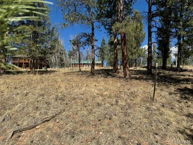 33623 Smith Road Pine, CO 80470