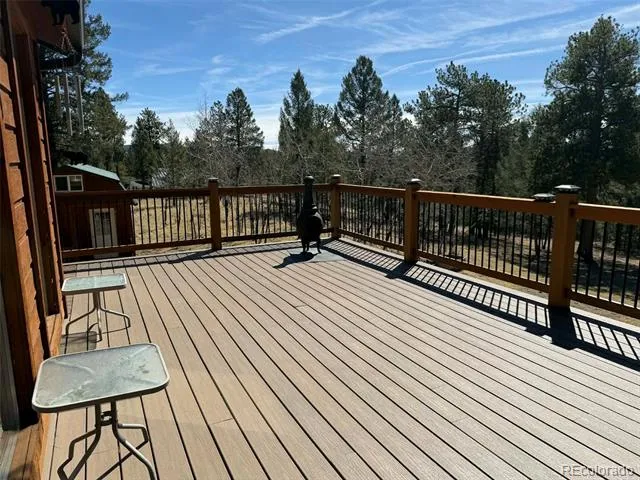 33623 Smith Road Pine, CO 80470