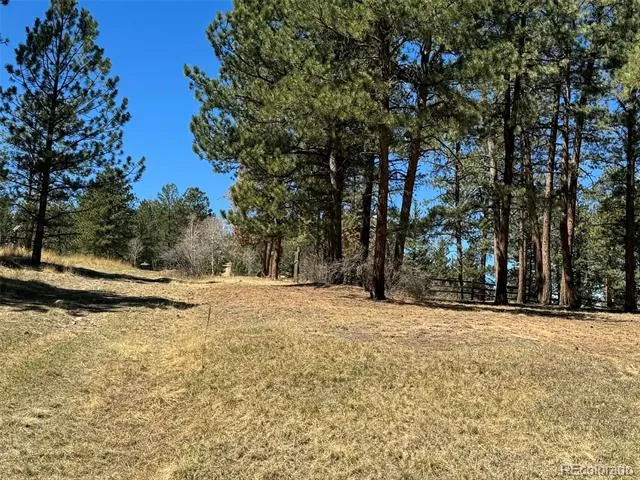 33623 Smith Road Pine, CO 80470
