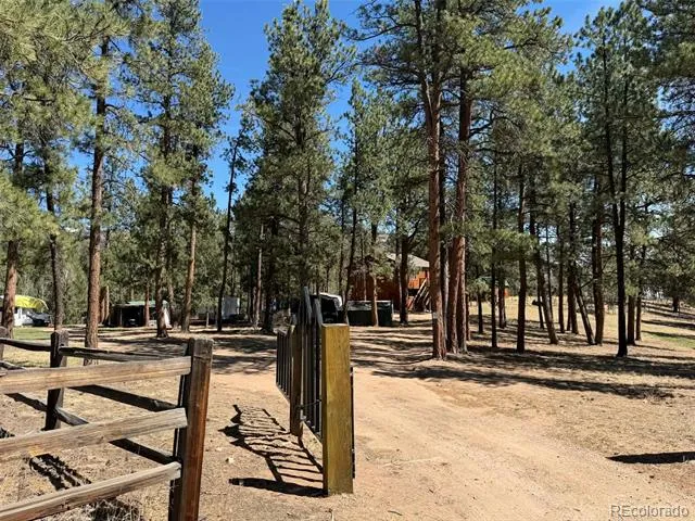 33623 Smith Road Pine, CO 80470