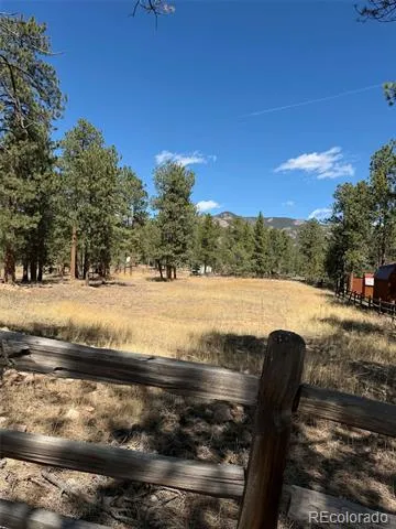 33623 Smith Road Pine, CO 80470