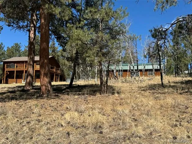 33623 Smith Road Pine, CO 80470