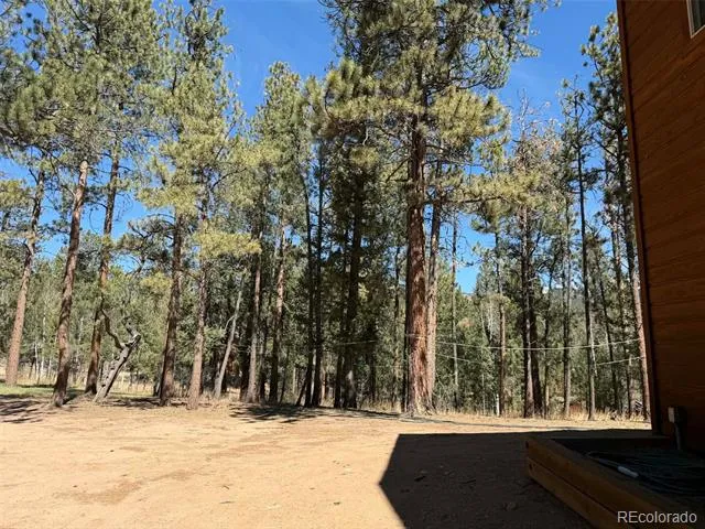 33623 Smith Road Pine, CO 80470