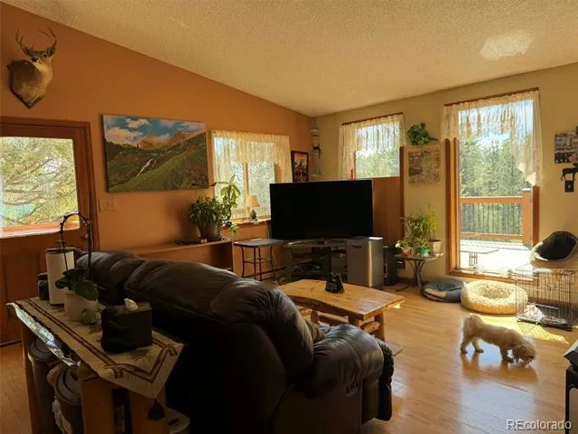 33623 Smith Road Pine, CO 80470