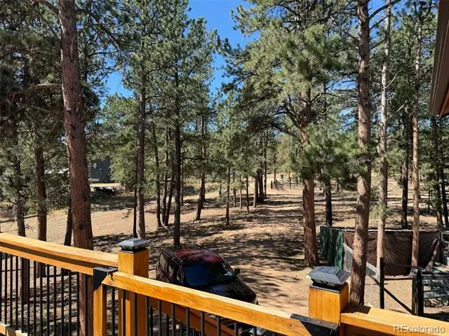 33623 Smith Road Pine, CO 80470
