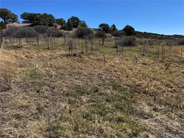 16103 US Highway 285 Salida, CO 81201