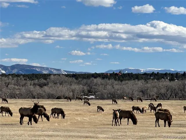 16103 US Highway 285 Salida, CO 81201