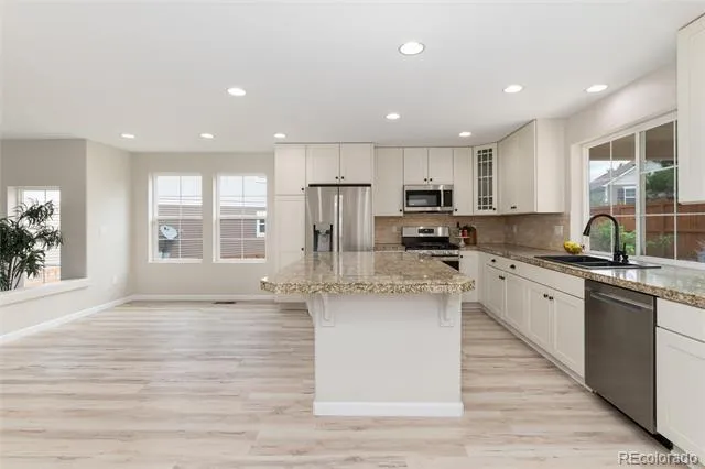 4068 Silver Swan Place Castle Rock, CO 80109