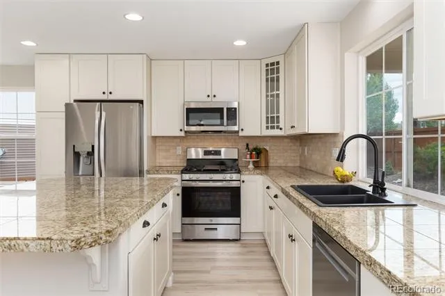 4068 Silver Swan Place Castle Rock, CO 80109