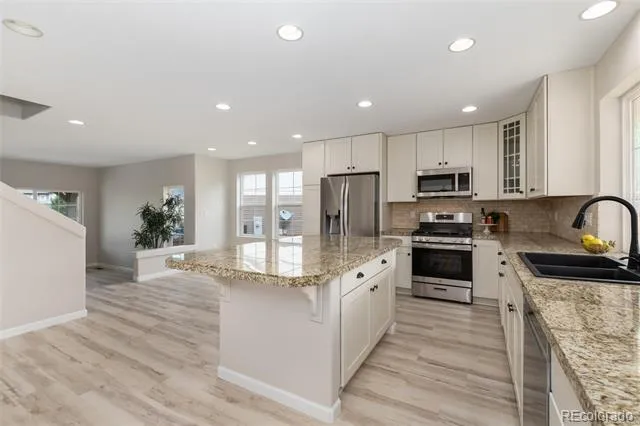 4068 Silver Swan Place Castle Rock, CO 80109
