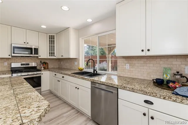 4068 Silver Swan Place Castle Rock, CO 80109
