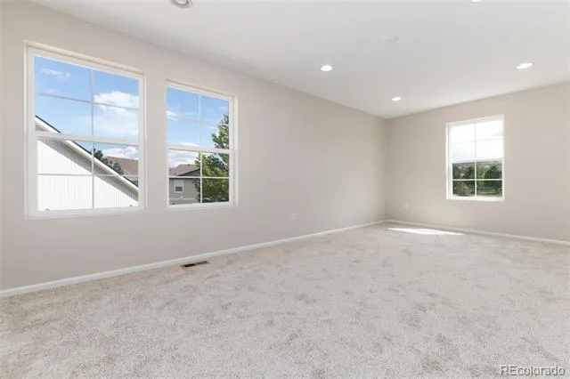 4068 Silver Swan Place Castle Rock, CO 80109