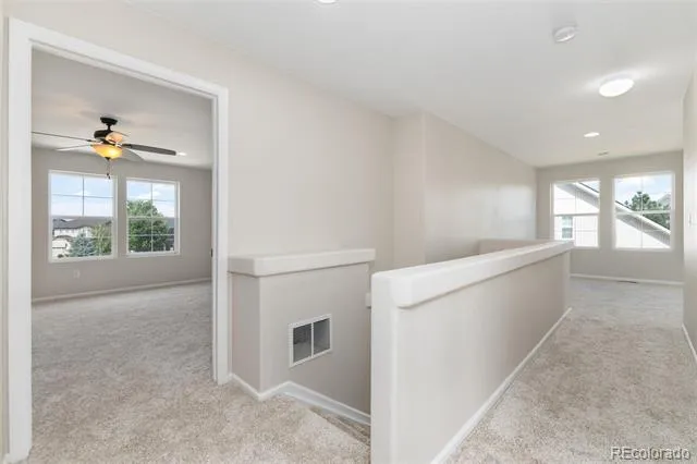 4068 Silver Swan Place Castle Rock, CO 80109