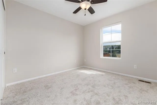 4068 Silver Swan Place Castle Rock, CO 80109