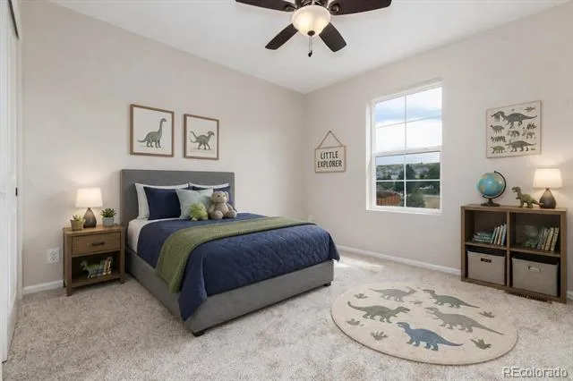 4068 Silver Swan Place Castle Rock, CO 80109