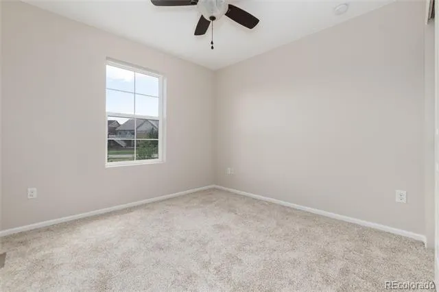 4068 Silver Swan Place Castle Rock, CO 80109