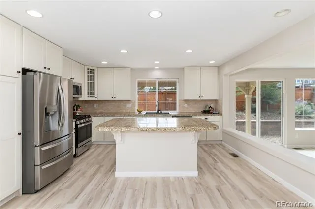 4068 Silver Swan Place Castle Rock, CO 80109