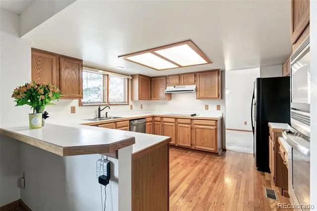 7471 Rattlesnake Drive Lone Tree, CO 80124