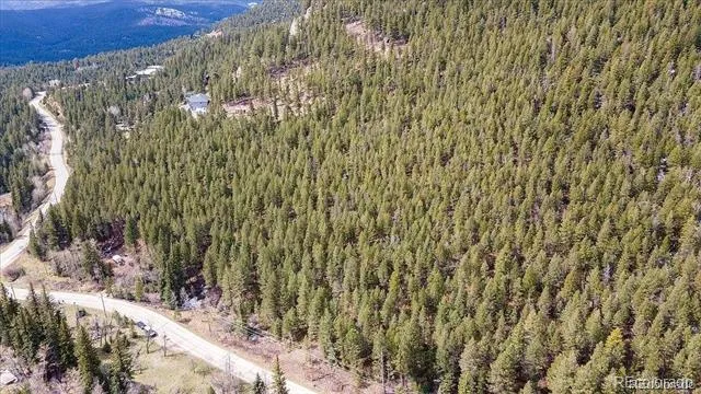417 Witter Gulch Road Evergreen, CO 80439