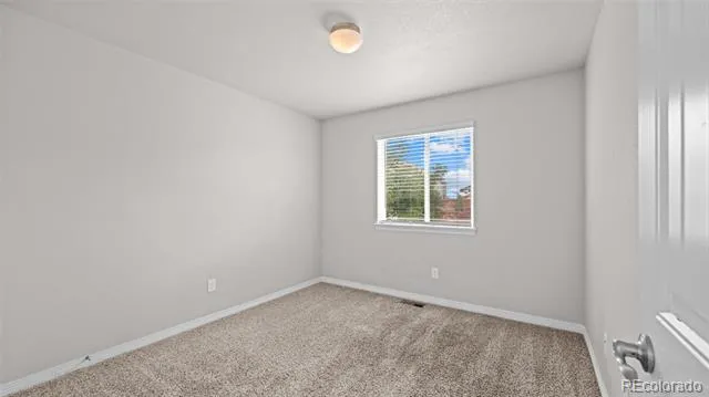 9745 Porch Swing Lane Peyton, CO 80831